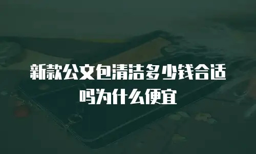 新款公文包清洁多少钱合适吗为什么便宜