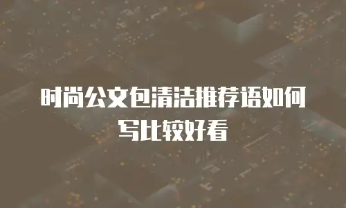 时尚公文包清洁推荐语如何写比较好看