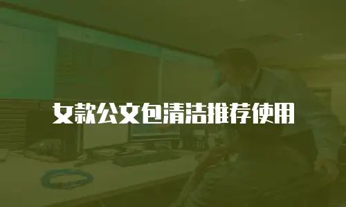 女款公文包清洁推荐使用