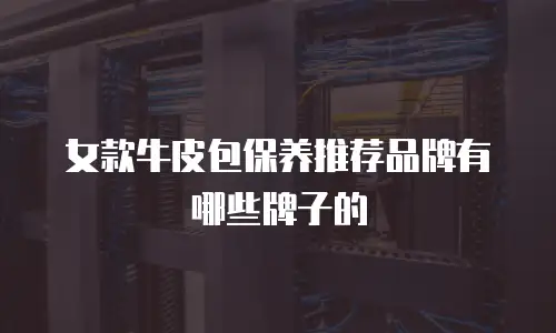 女款牛皮包保养推荐品牌有哪些牌子的