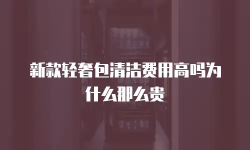 新款轻奢包清洁费用高吗为什么那么贵