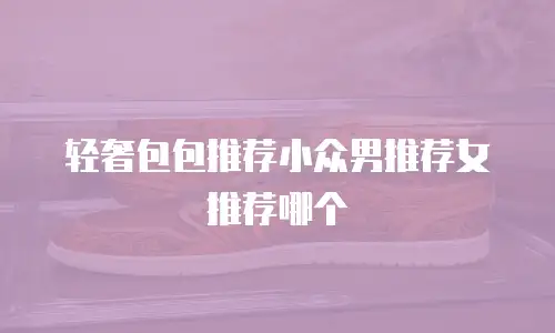 轻奢包包推荐小众男推荐女推荐哪个