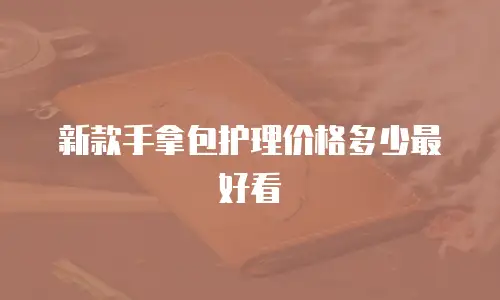 新款手拿包护理价格多少最好看