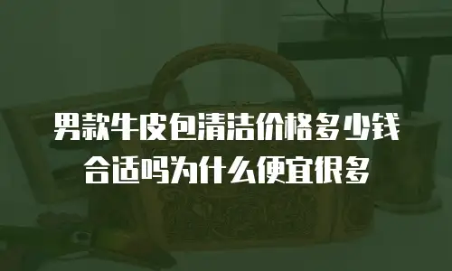 男款牛皮包清洁价格多少钱合适吗为什么便宜很多