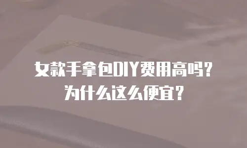女款手拿包DIY费用高吗？为什么这么便宜？