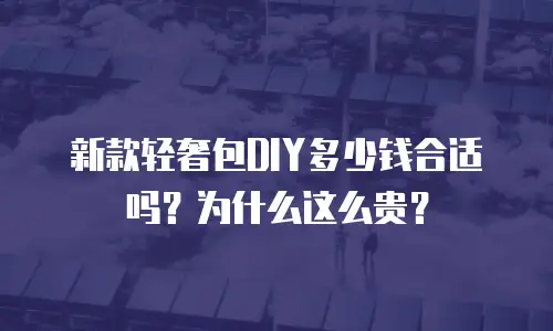 新款轻奢包DIY多少钱合适吗？为什么这么贵？