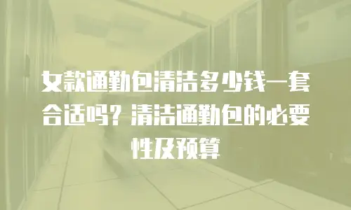 女款通勤包清洁多少钱一套合适吗？清洁通勤包的必要性及预算