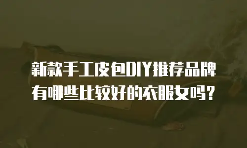 新款手工皮包DIY推荐品牌有哪些比较好的衣服女吗？
