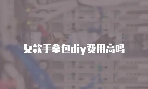 女款手拿包diy费用高吗
