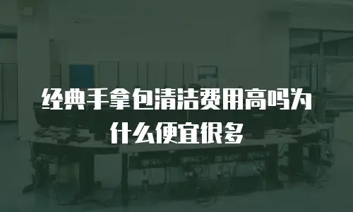 经典手拿包清洁费用高吗为什么便宜很多