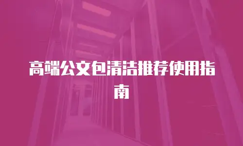 高端公文包清洁推荐使用指南