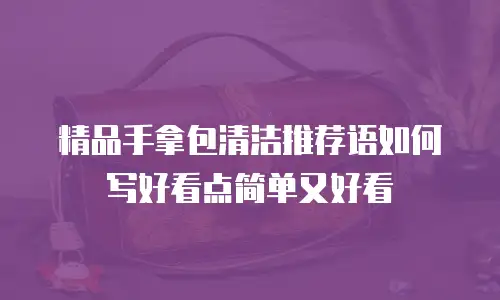 精品手拿包清洁推荐语如何写好看点简单又好看