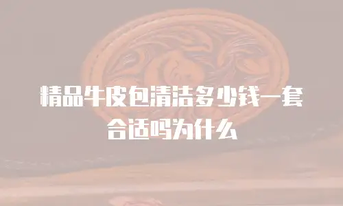 精品牛皮包清洁多少钱一套合适吗为什么