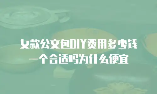 女款公文包DIY费用多少钱一个合适吗为什么便宜