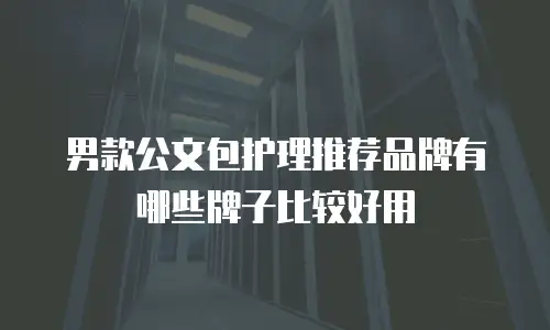 男款公文包护理推荐品牌有哪些牌子比较好用