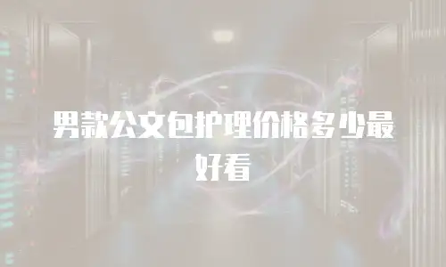 男款公文包护理价格多少最好看