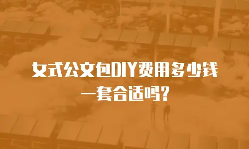 女式公文包DIY费用多少钱一套合适吗？