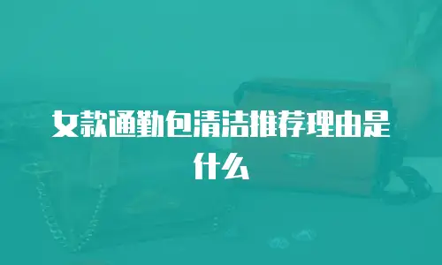 女款通勤包清洁推荐理由是什么