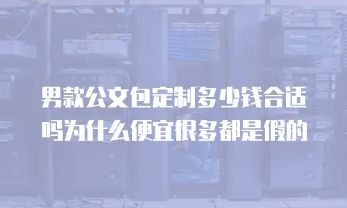男款公文包定制多少钱合适吗为什么便宜很多都是假的