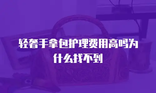 轻奢手拿包护理费用高吗为什么找不到