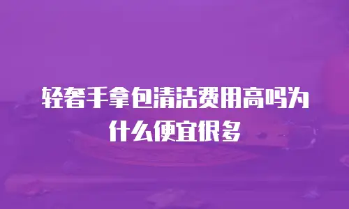 轻奢手拿包清洁费用高吗为什么便宜很多