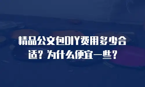 精品公文包DIY费用多少合适？为什么便宜一些？