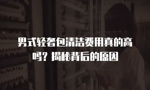 男式轻奢包清洁费用真的高吗？揭秘背后的原因