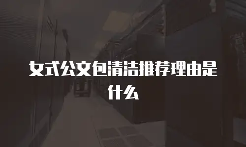 女式公文包清洁推荐理由是什么