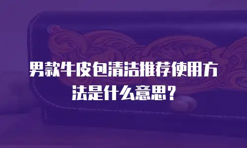 男款牛皮包清洁推荐使用方法是什么意思？