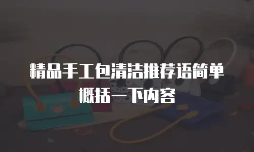 精品手工包清洁推荐语简单概括一下内容
