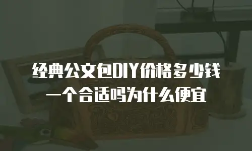 经典公文包DIY价格多少钱一个合适吗为什么便宜