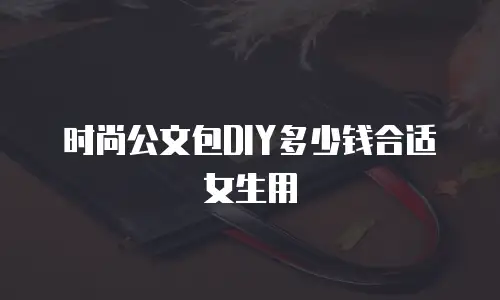 时尚公文包DIY多少钱合适女生用