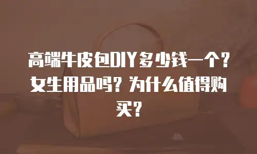 高端牛皮包DIY多少钱一个？女生用品吗？为什么值得购买？