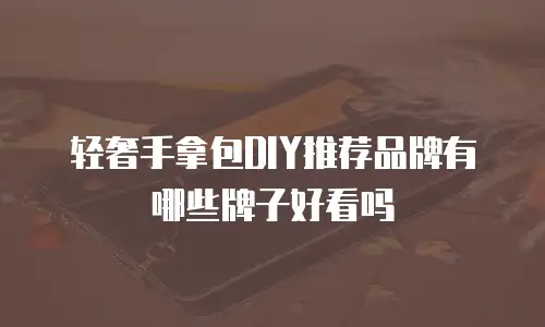 轻奢手拿包DIY推荐品牌有哪些牌子好看吗