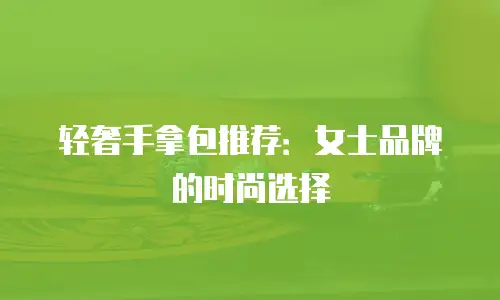 轻奢手拿包推荐：女士品牌的时尚选择