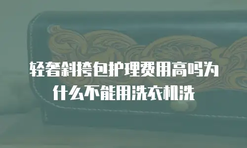 轻奢斜挎包护理费用高吗为什么不能用洗衣机洗