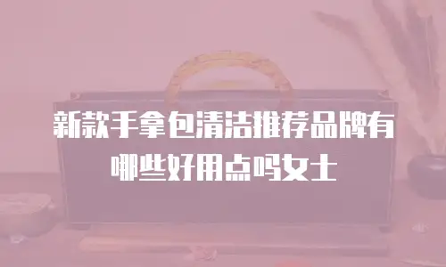 新款手拿包清洁推荐品牌有哪些好用点吗女士