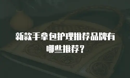 新款手拿包护理推荐品牌有哪些推荐？