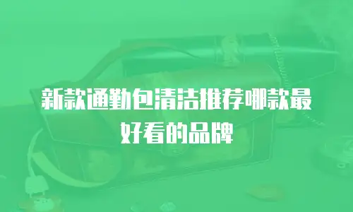 新款通勤包清洁推荐哪款最好看的品牌