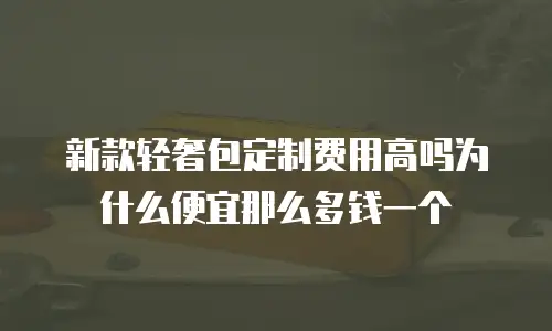 新款轻奢包定制费用高吗为什么便宜那么多钱一个