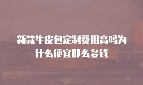 新款牛皮包定制费用高吗为什么便宜那么多钱