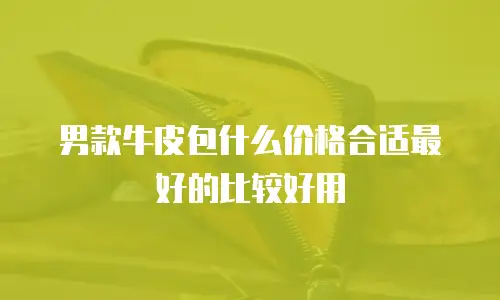 男款牛皮包什么价格合适最好的比较好用