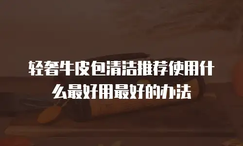轻奢牛皮包清洁推荐使用什么最好用最好的办法
