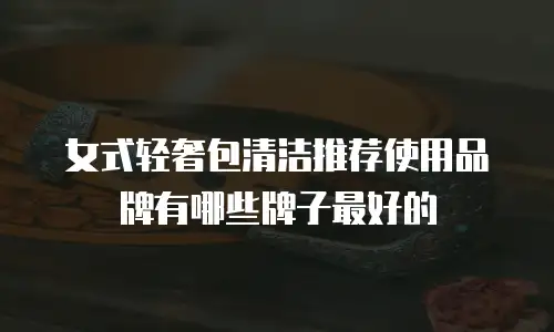 女式轻奢包清洁推荐使用品牌有哪些牌子最好的
