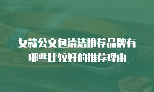女款公文包清洁推荐品牌有哪些比较好的推荐理由