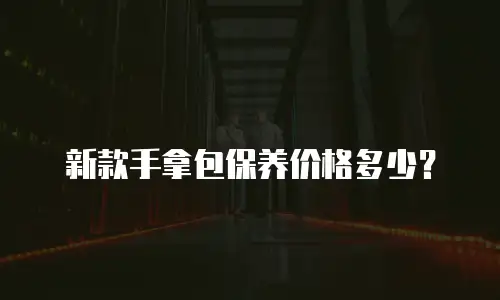 新款手拿包保养价格多少？