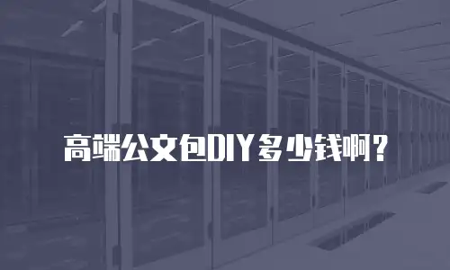 高端公文包DIY多少钱啊？