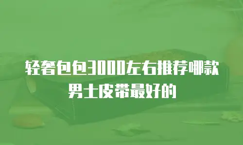 轻奢包包3000左右推荐哪款男士皮带最好的