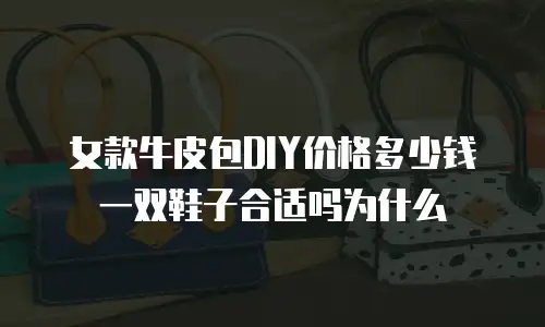 女款牛皮包DIY价格多少钱一双鞋子合适吗为什么