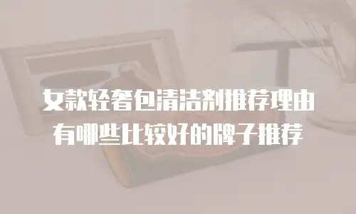 女款轻奢包清洁剂推荐理由有哪些比较好的牌子推荐